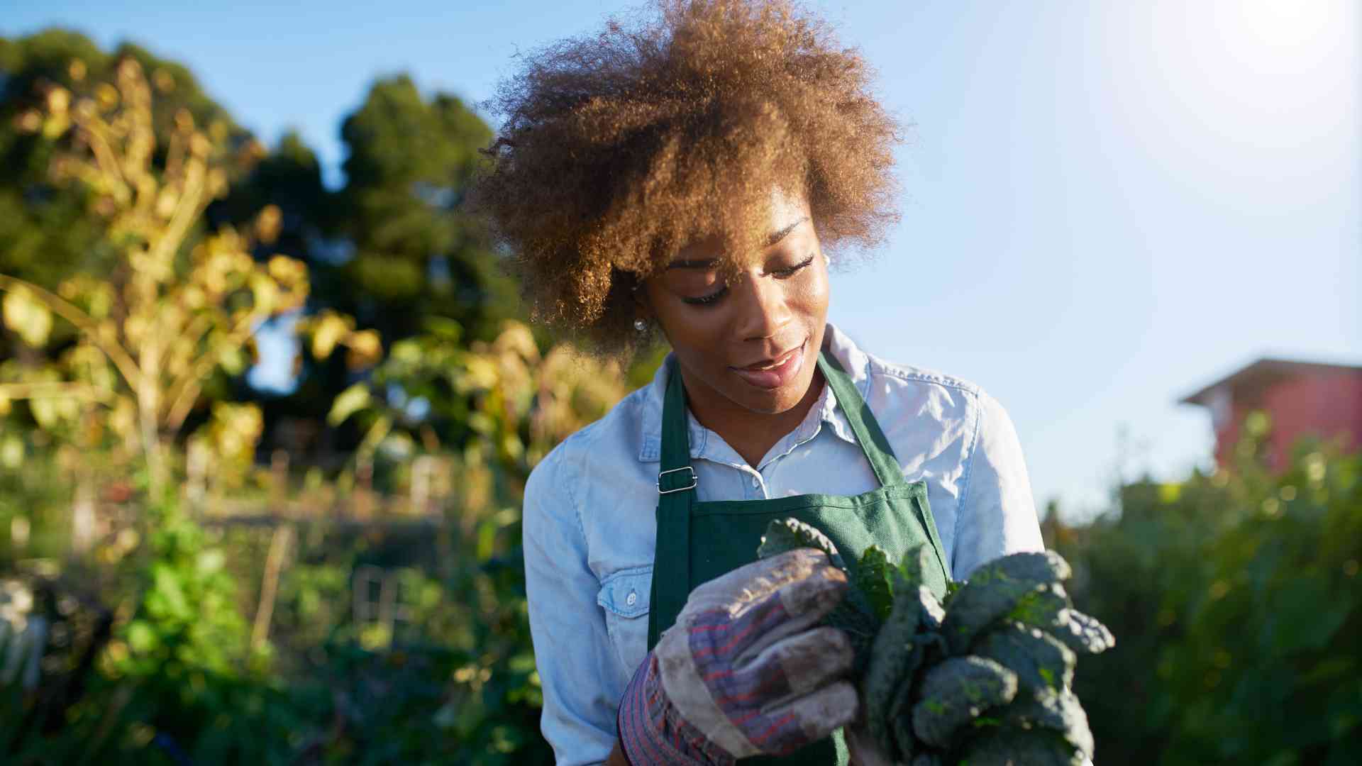 5 Essential Autumn Gardening Tips